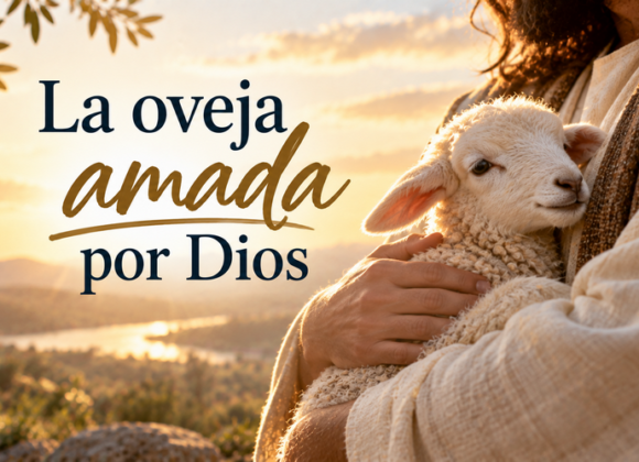 La oveja amada por Dios